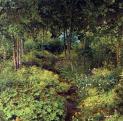 Birch Path