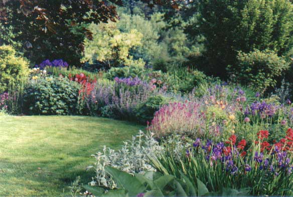 Stunning Border of Color