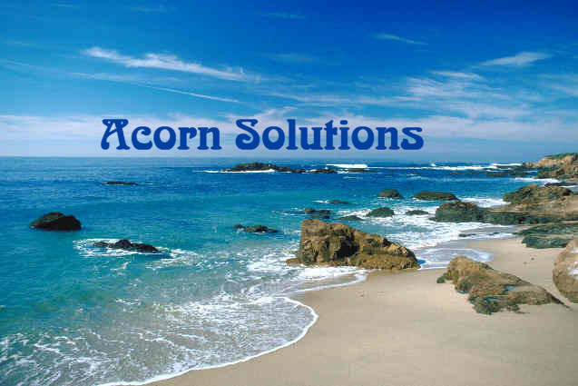 Acorn Solutions
